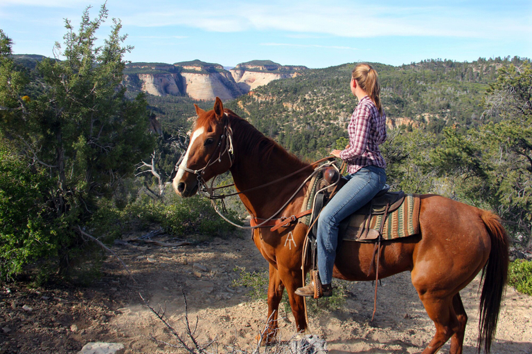 Others 4, Zion Ponderosa Ranch Resort, Kane