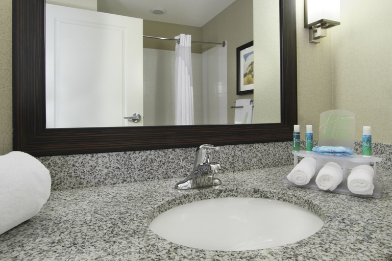 Bathroom 3, Holiday Inn Express & Suites COLORADO SPRINGS-FIRST & MAIN by IHG, El Paso