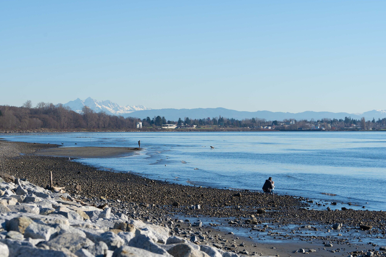 Others 5, Ocean Promenade, Greater Vancouver