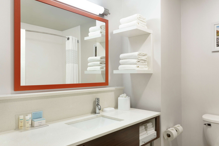 Bathroom 4, Hampton Inn Dover, Strafford