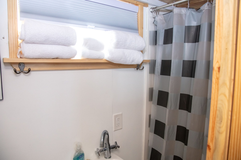 Bathroom 4, Trail and Hitch Tiny Home Hotel and RV, Rio Blanco