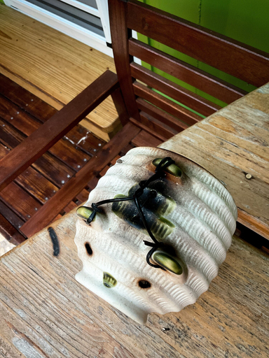 Food & Drinks 4, Little Ryukyu Hermit Crab Homestay, Pingtung