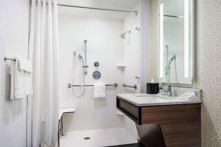 Bathroom 4, Hilton Garden Inn Annapolis Downtown, Anne Arundel