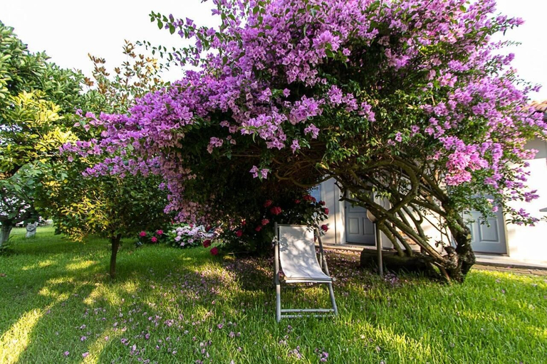 Property grounds 3, Villa Hermes, Reggio Di Calabria