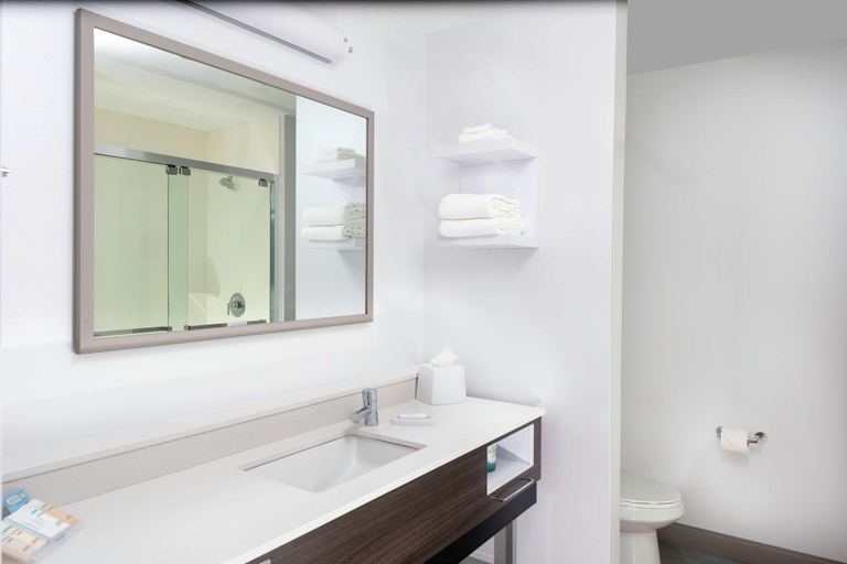 Bathroom 4, Hampton Inn Dunedin, Pinellas