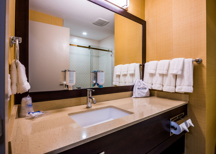 Bathroom 4, Best Western Plus Chateau Fort St. John, Peace River