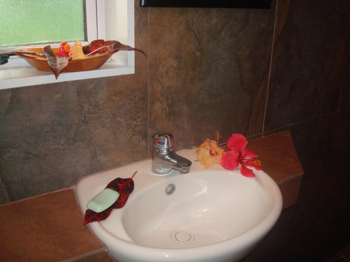 Bathroom 4, Gecko Lodge Fiji Private Hotel, Cakaudrove