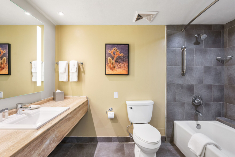 Bathroom 5, Hotel Zoso, Riverside