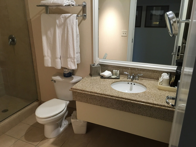 Bathroom 4, The Glen Club, Cook