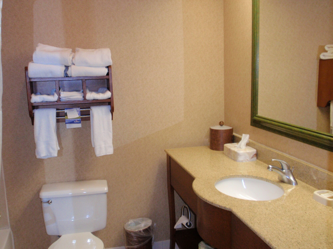 Bathroom 5, Baymont by Wyndham Lewisville, Denton