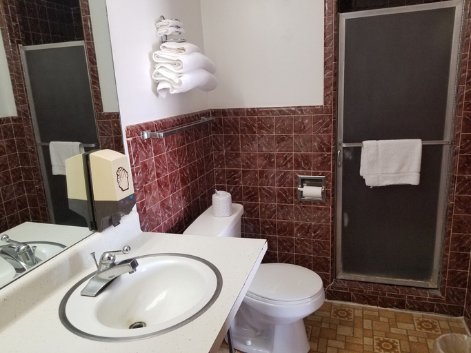 Bathroom 3, Duffer Motel, Greer