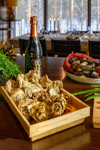 Food & Drinks 5, Levi Spirit Luxury Villas & Resort, Lapland
