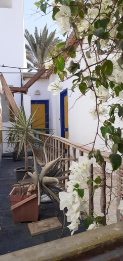 Exterior & Views 2, Neptune Hotel, Sant Katrin