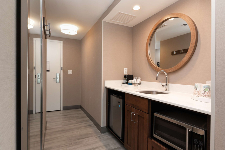 Bathroom 5, Hampton Inn & Suites Arlington Crystal City DCA, Arlington