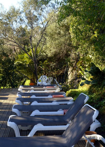 Food & Drinks 5, Hôtel & Spa Le Madeloc Collioure Centre, Pyrénées-Orientales