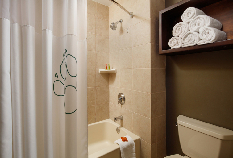 Bathroom 3, Great Wolf Lodge Grapevine, Tarrant