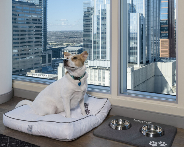 Bedroom 3, The Westin Austin Downtown, Travis