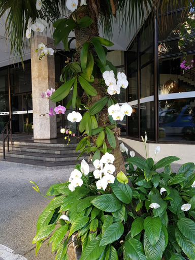 Exterior & Views, Flat Maravilhoso, Rio de Janeiro