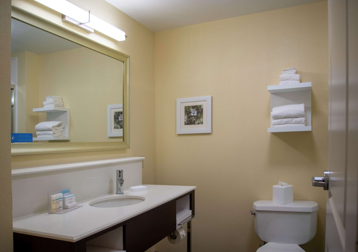 Bathroom 4, Hampton Inn St. Louis/Chesterfield, Saint Louis