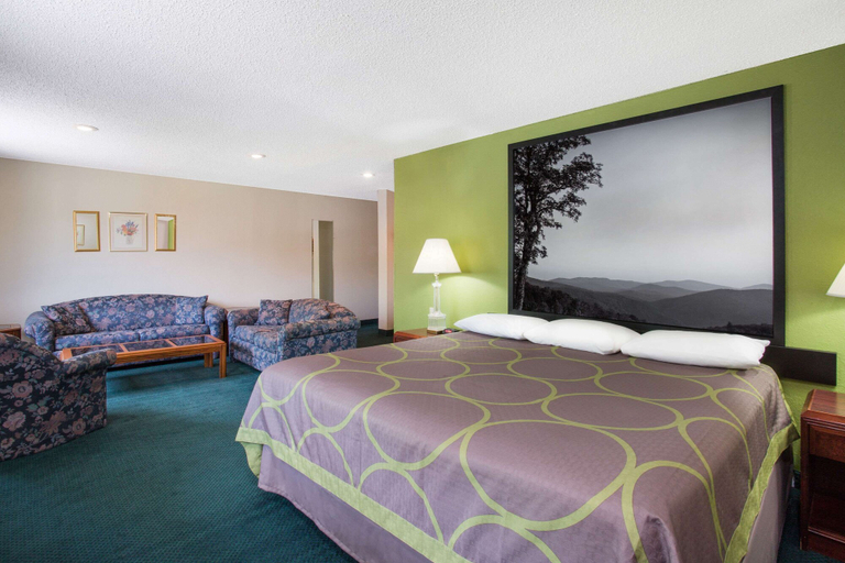Bedroom 5, Super 8 by Wyndham Salem VA, Salem