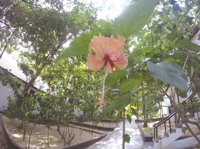 Others 5, Perhentian Tivoli Inn, Besut