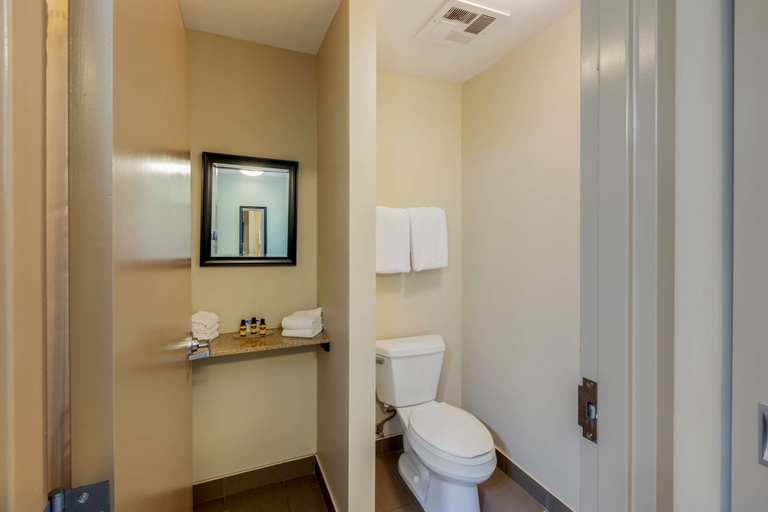 Bathroom 4, Best Western Plus Walkerton Hotel & Conference Cen, Bruce