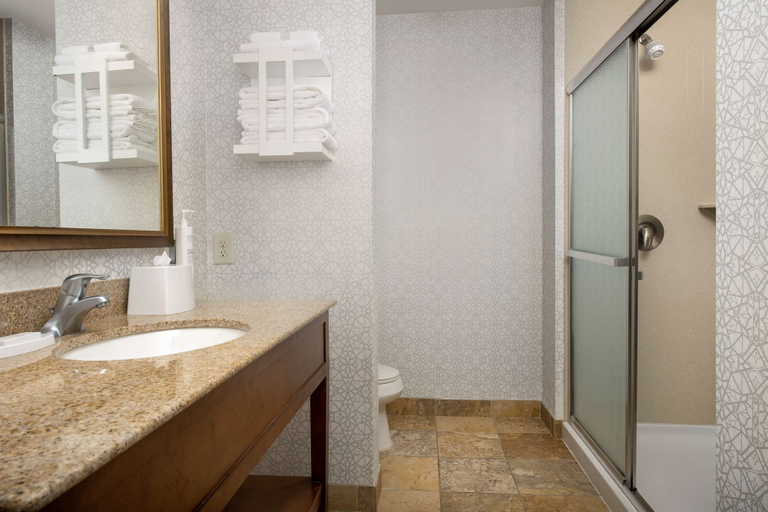 Bathroom 4, Hampton Inn & Suites Holly Springs, Wake