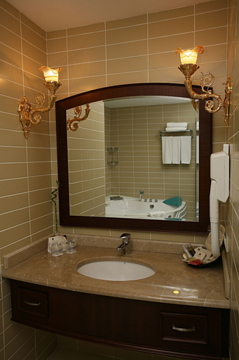 Bathroom 5, Latanya Palm & Spa Airport Antalya, Antalya
