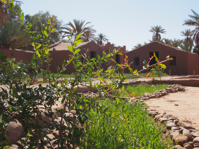 Kasbah Desert Camp, Ouarzazate
