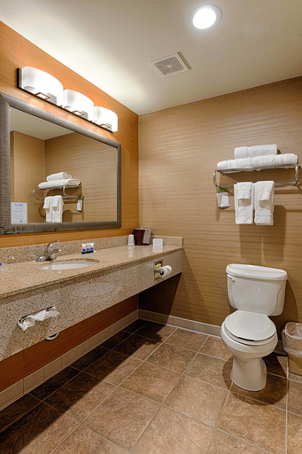 Bathroom 4, Best Western Plus Delta Inn & Suites, Contra Costa