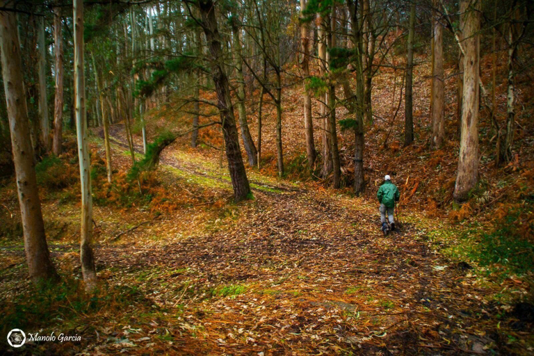 Others 5, El Interior De Gaia, Asturias