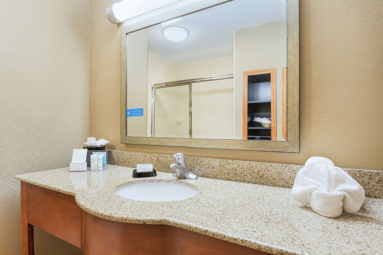 Bathroom 3, Hampton Inn Petersburg-Southpark Mall, Colonial Heights