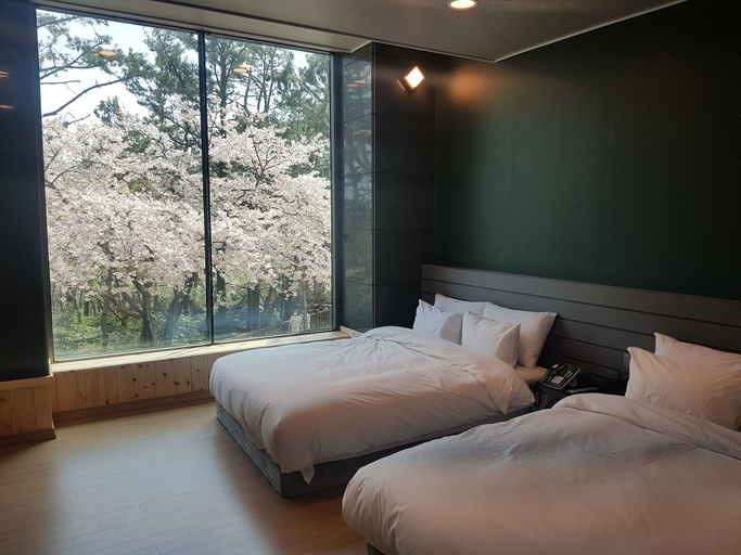 Bedroom 3, Suntree Hotel, Haeundae