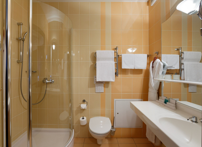 Bathroom 3, Statskij Sovetnik Hotel Zagorodnyy, Sankt-Peterburg gorsovet