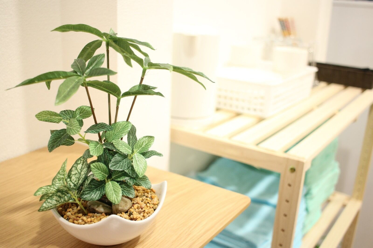 Others 5, Guest House, Osaka