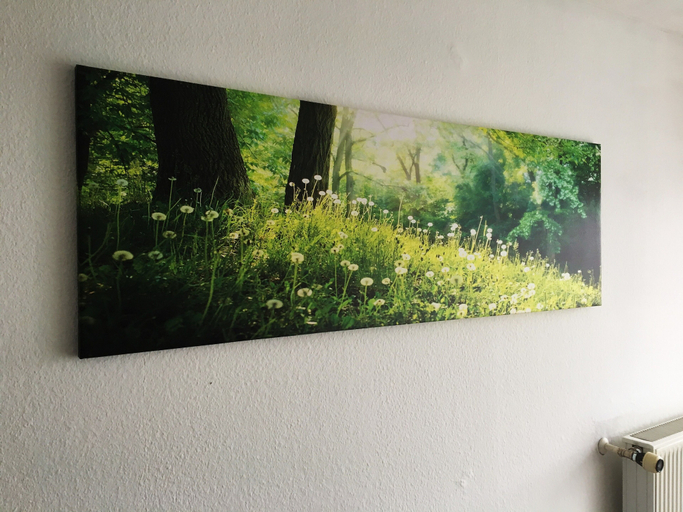 Others 5, Treetown, Regensburg