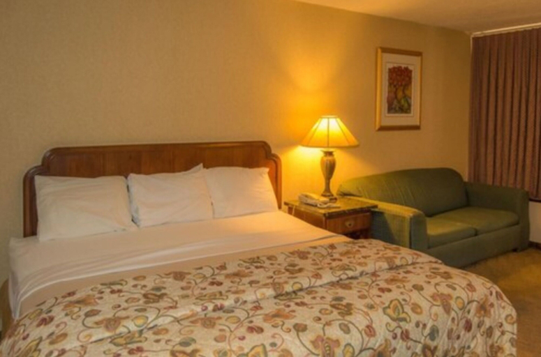 Bedroom 3, Executive Inn Hotel & Conference Centre, Comanche
