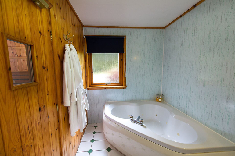 Bathroom 3, Beautiful 5 Star Chalet With Sauna and spa Bath, Stirling