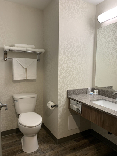 Bathroom, Meridian Inn & Suites Regina Airport, Division No. 6