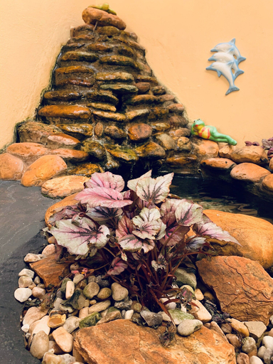 Others 5, Hotel Casa Grande, Orlandia