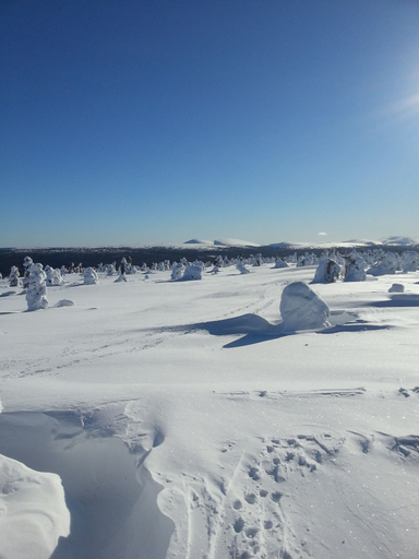 Others 5, Seita Cabins, Lapland