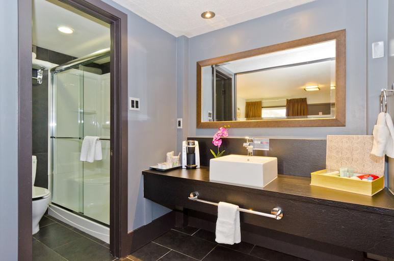 Bathroom 5, Centro Motel, Division No. 6
