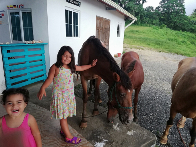 Exterior & Views, Rancho Juancho, Portobelo