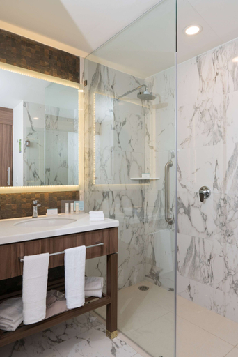 Bathroom 4, Hampton Inn by Hilton Irapuato, Irapuato