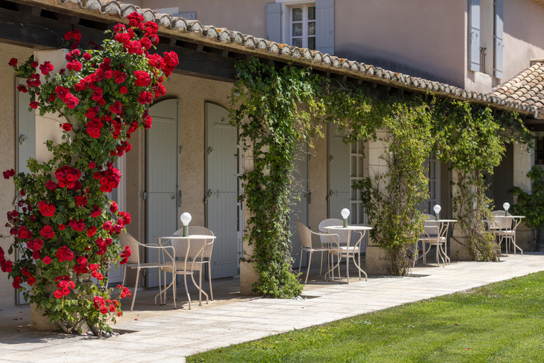 Exterior & Views 2, Mas de l'Oulivié, Bouches-du-Rhône