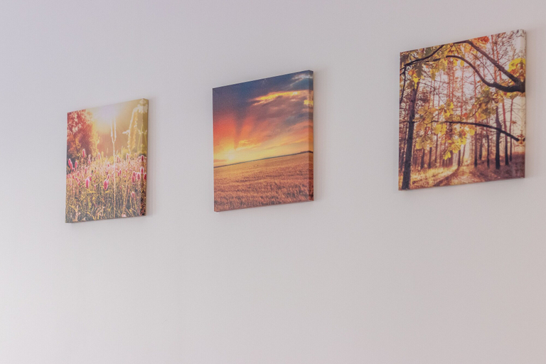 Others 5, Nicobri Studios, Floresti