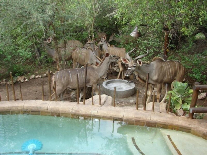 Sport & Beauty 5, Marloth Kruger Accommodation, Ehlanzeni