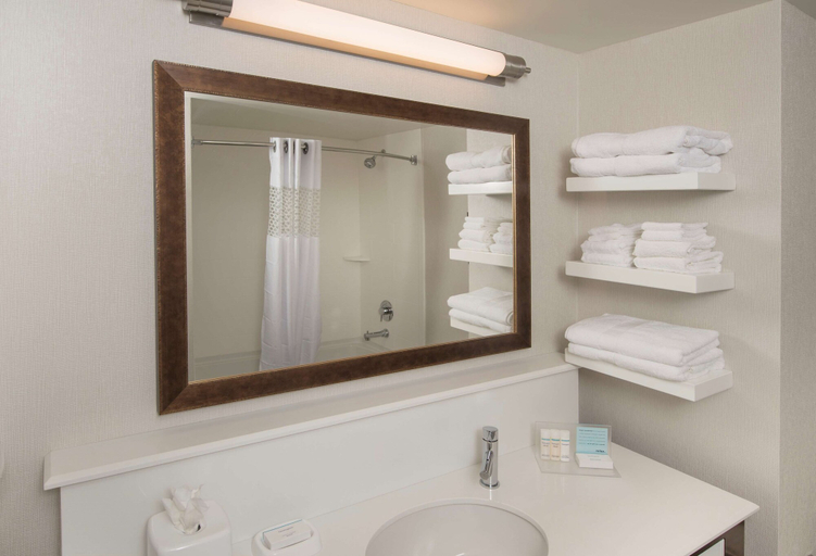 Bathroom 5, Hampton Inn & Suites Braselton, Barrow
