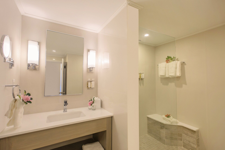 Bathroom 5, Bougainvillea Barbados