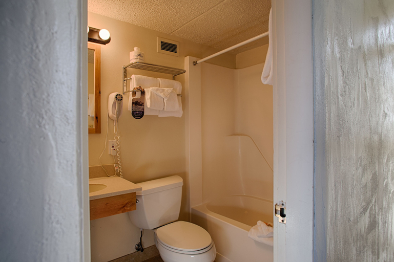Bathroom 4, Grand Targhee Resort, Teton
